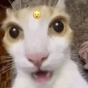 emoji_41
