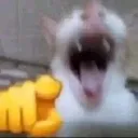 emoji_43