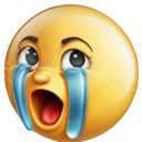 :cryaidupe: