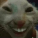 pkaa_rathehe pkaa_rathehe