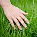 touch_grass