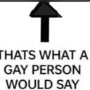 whatagaypersonwouldsay