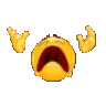 xnopyt