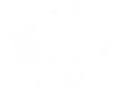 Berdly_Amused