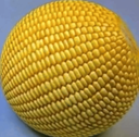 Discord Emote cornball: