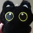 spky_stare