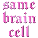 02_samebraincell
