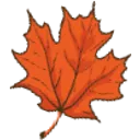 8496autumnleaf