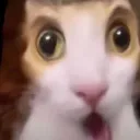 HGKot