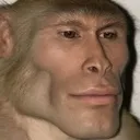 chadape