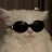 Og_cat