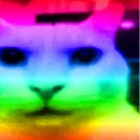 nh_gayCat