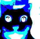 nh_negativeCat