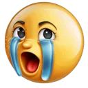 sob sob