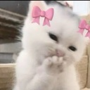 emoji_33 custom emote | NV