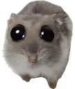 ohh