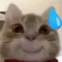 CatSmile2