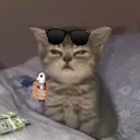 chat_attention_a_ce_que_tu_dis