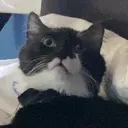 shockedtheo shockedtheo