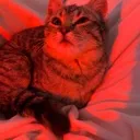 kibby1
