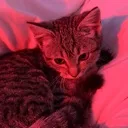 kibby2