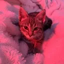 kibby3