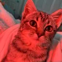 kibby4