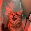 kibby5