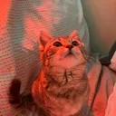 kibby6