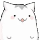 OMG_catangry OMG_catangry