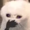 khok