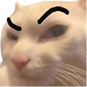 meow_huh