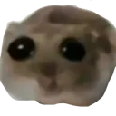 pls