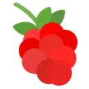 blackberry