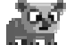 sleepykoala