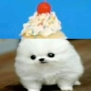 MS_Gacarbla Discord emoji