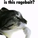 isthisragebait