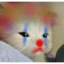 sadclowncat