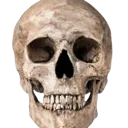 myskull