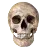 superskull