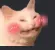 BlushingCat