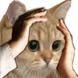 eye_wtf