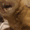 Agony