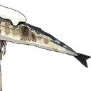 Fishhatcool2