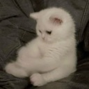 emoji_36 custom emote | NV