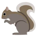 squirrel