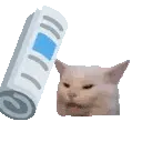 catbonk