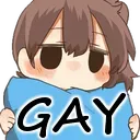 gay gay