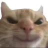 evilcat