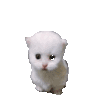 RT_MichiJump Discord emoji